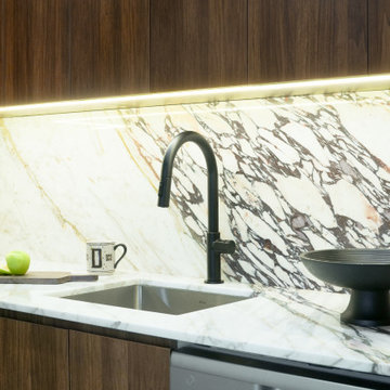 Harlem Condo Kitchen