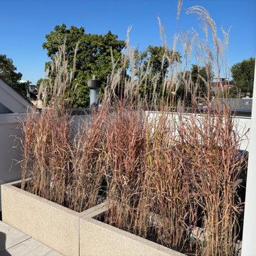 Transitional Urban Garden Design
