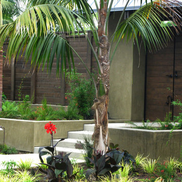 Island Style Tropical