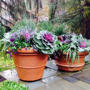 Fall Container Garden Design
