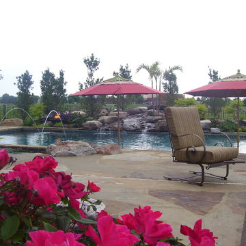 Tropical Paradise in PA