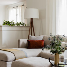 Living Room Ideas