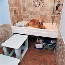 Dog bath