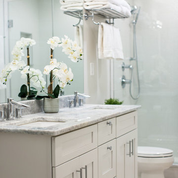 Reston Basement Bathroom Retreat