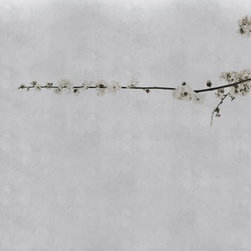 RANDOM PAPERS - Tapestries