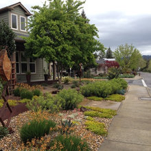Front yard