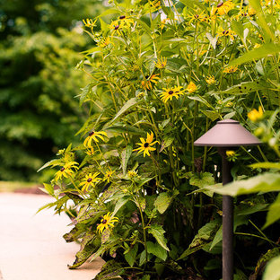 Photo of a mid-sized transitional backyard patio in Richmond with a fire feature, concrete pavers and no cover.