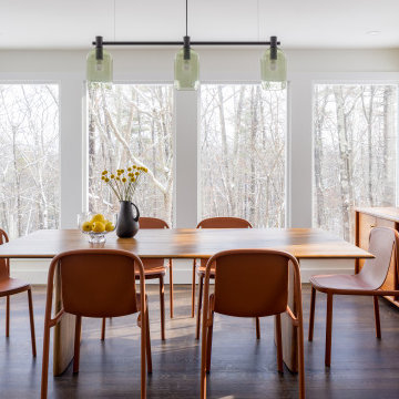 Woodstock Mid-century Remodel