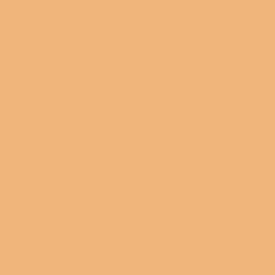 Surprise Amber - Paint