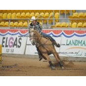 Foto von Stephenie Blewitt