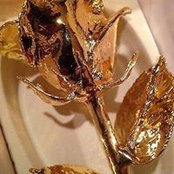 Paul Whibbey's photo