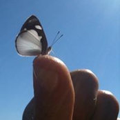 Alessandra Dallera's photo