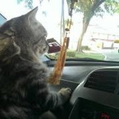 Adiba Mazalan's photo