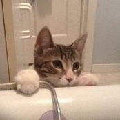 Caroline Morin-Loyer's photo
