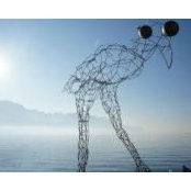 Amanda Beaman's photo