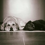 Tracey Coppeler's photo