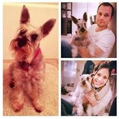 Crystal Torres's photo