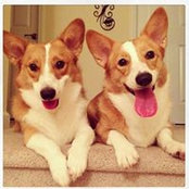 Stephanie Colas-Salgado's photo