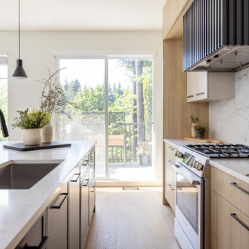 GOVERMENT LANE RENOVATION | TOWNHOUSE | BURNABY