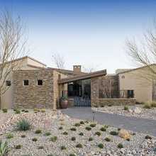landscape and yard