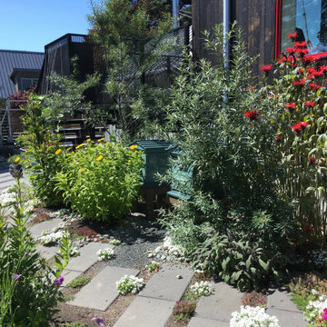 Crescent Food and Medicine Garden