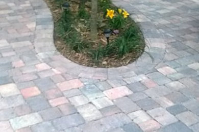 Inspiration for a driveway in Miami.
