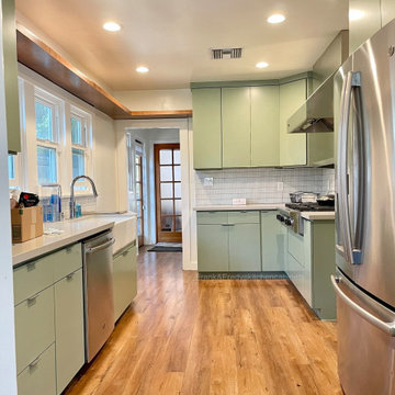 Sage Green Modern Galley Kitchen