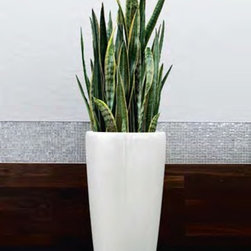 Modern Planter - Products