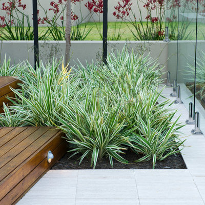 Home design - mid-sized contemporary home design idea in Perth