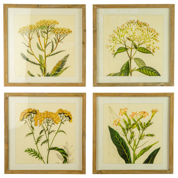 Set of Four Framed Flower Prints Under Glass #1