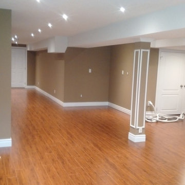 Basement Remodel