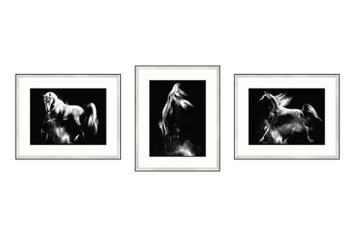 Kunstdruck set für Pferdeliebhaber, Serie Wien 2