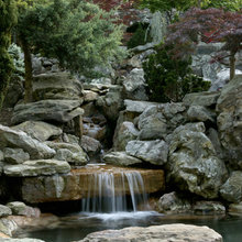 Landscaping and Outside