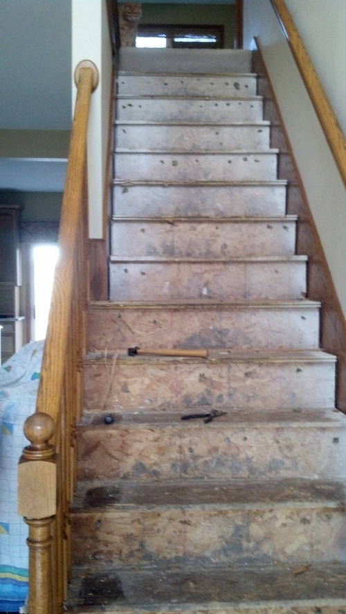 Staircase Makeover Need Advice