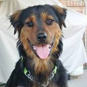Scott Furciniti's photo