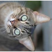 Sandra Davis's photo