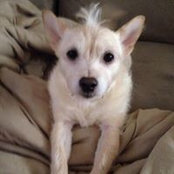 Laura Cryer's photo