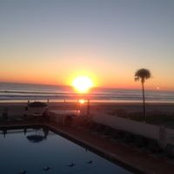Melissa Towery's photo