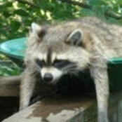 Andrew Burnette's photo