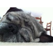 Allison Diaz's photo