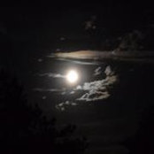 Rick Heilman's photo
