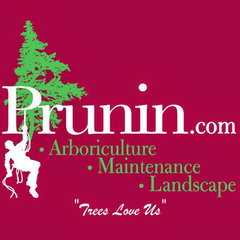 Prunin Arboriculture & Landscape