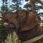 Jennifer Anglin's photo