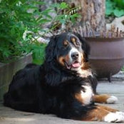 Sandy Reese's photo