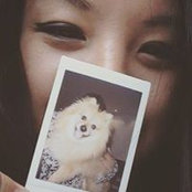 Linh Ly's photo