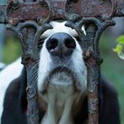 Foto von David Lackey