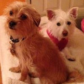 Tracy Sallen's photo