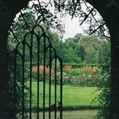 Sharon O'Hara's photo