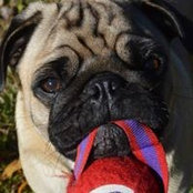 Foto von Maxie Gregory