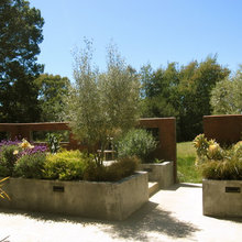 Backyard Design Ideas